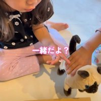 おもちゃの猫を指さす女の子