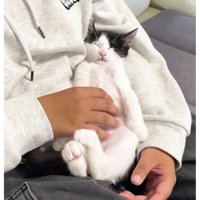 男性と寝ている猫