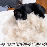 テロップ「ゆっくりと～」