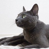 休みながら見上げる姿