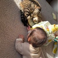 床に寝ている猫と赤ちゃん