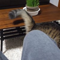 右から