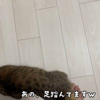 テロップ「あの、足踏んでます」