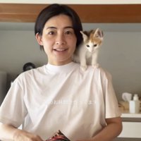 女性が持っているウインナーの袋を見つめる子猫