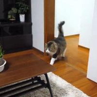 入室