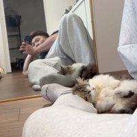 身じろぎする猫