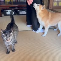 空くんとももちゃん