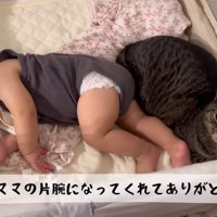 テロップ「毎日ママの～」