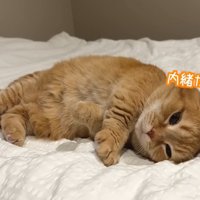 内緒だよ