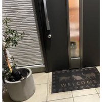 ドア前にいる猫