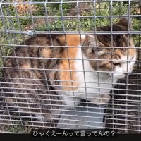 驚く撮影者