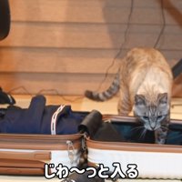 じわ〜っと