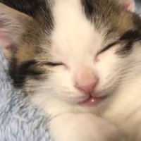 目を閉じた顔のアップ