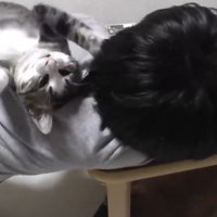 男の子の背中に乗っている子猫