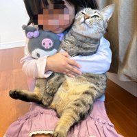 ぬいぐるみと猫を抱きしめる女の子