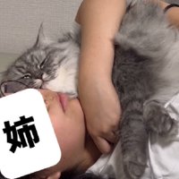 幸せそうな猫