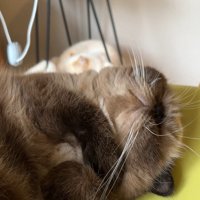 顔の少しアップ2