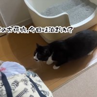 今日は泊まりか？