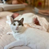 猫と赤ちゃん