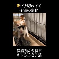 奥に集合