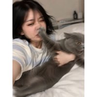 抱かれている猫