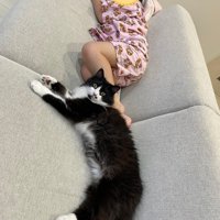 子どもと横になっている猫