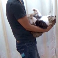 横から