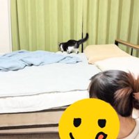 ベッドの上の子猫と振り返る飼い主