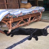 寝転ぶふたり