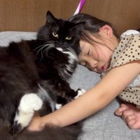 やめてほしい視線の梅ちゃん