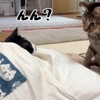 んん？