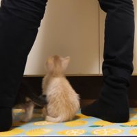 ふたりの後ろ姿