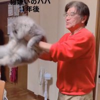 猫を抱っこして回る