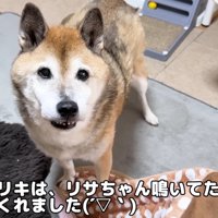 リサちゃんを見つめるリキくん