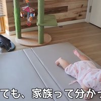 テロップ「小さくても、～」