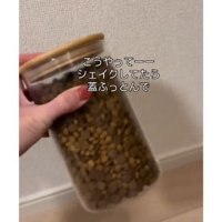 キャットフードの入った容器