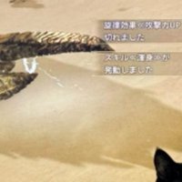 テレビ前にいる猫