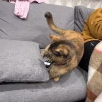 パパさんの横で