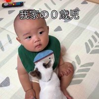 赤ちゃんの足の間に座るつなちゃん