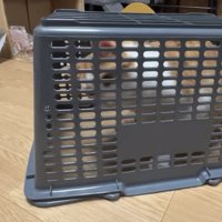 罠の中にいる猫の写真2