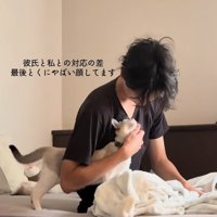 飼い主の腕の隙間に入って飼い主を見上げる猫