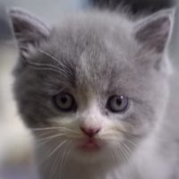 ミッキーくん正面