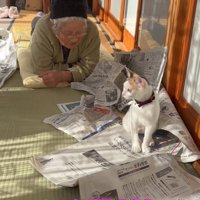 猫とおばあちゃん