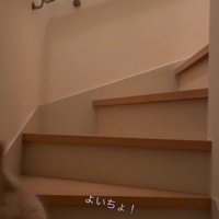 「よいちょ」と書かれた写真