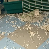 床中に猫砂が散乱している様子