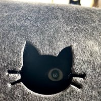 小窓から覗く猫の目と後方に飛び出している猫の耳