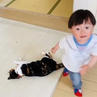 保護猫を助けようとする男の子