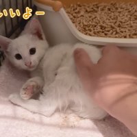 きもちいいよー