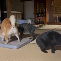 水飲み中