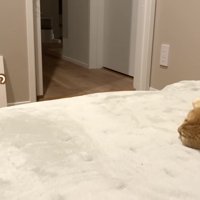 「じーっ」のテロップ写真